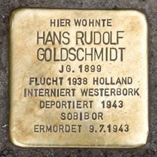 Hans Rudolf Goldschmidt