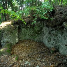 Burgruine Greifenfels