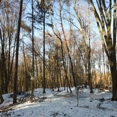 Barrow cemetery Teilhölzl