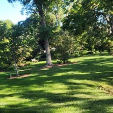 Maxwell Arboretum