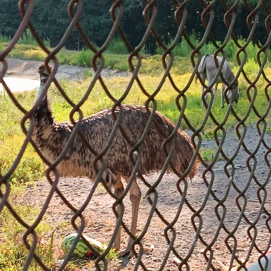 Mabrey's Rock of Ages
