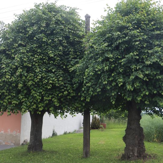 Kříž na jižním okraji Komárovic