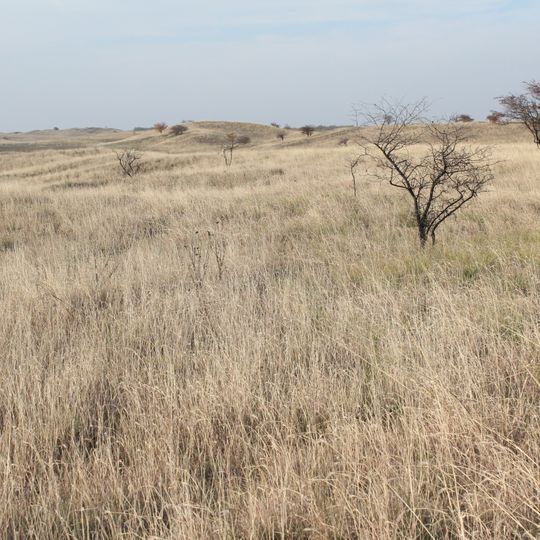 Deliblatska peščara