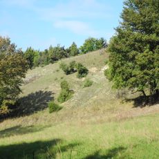 Kalkmagerrasen und Diemelaltwasser bei Lamerden