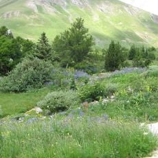 Jardín Botánico del Col du Lautaret