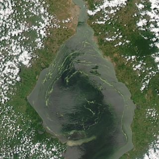 Lake Maracaibo