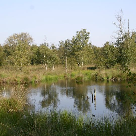 Kollrunger Moor und Klinge