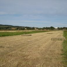 Upham Meadow and Summer Leasow