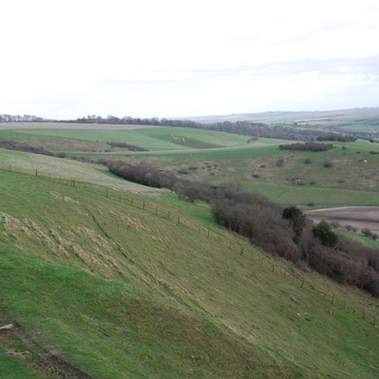 Gallows Hill SSSI, Wiltshire