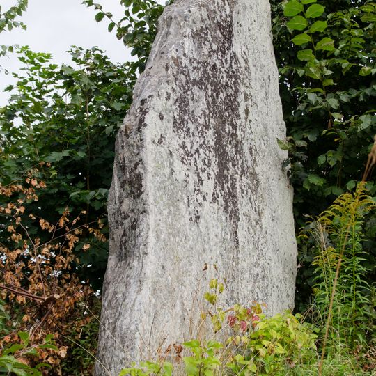 Kullings-Skövde 12:1