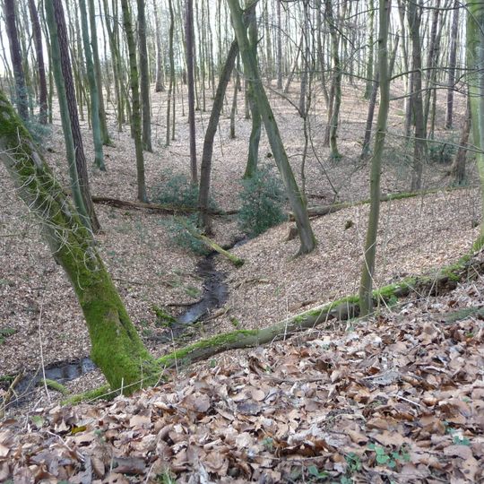 Aplerbecker Wald
