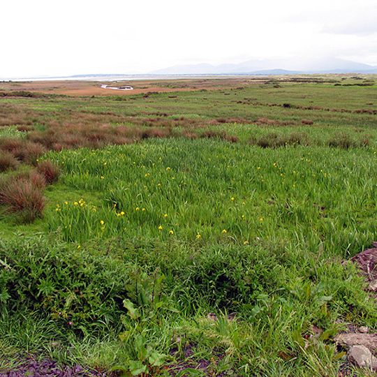 Dingle Marshes