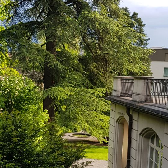 Springbrunnenbecken im Park Villa Rosenbühl