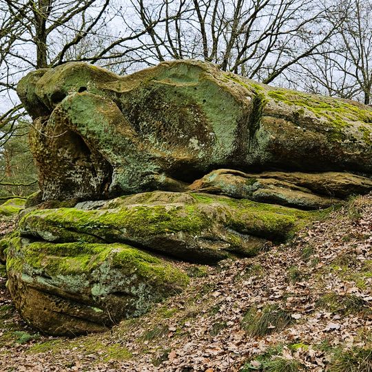 Naturschutzgebitt Eechelbuer-Lock