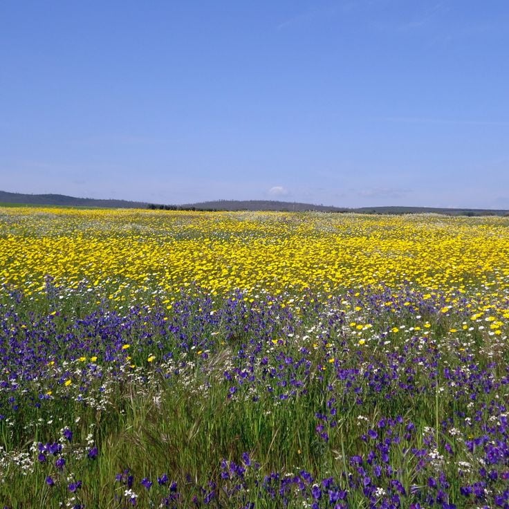 Cornalvo Natural Park