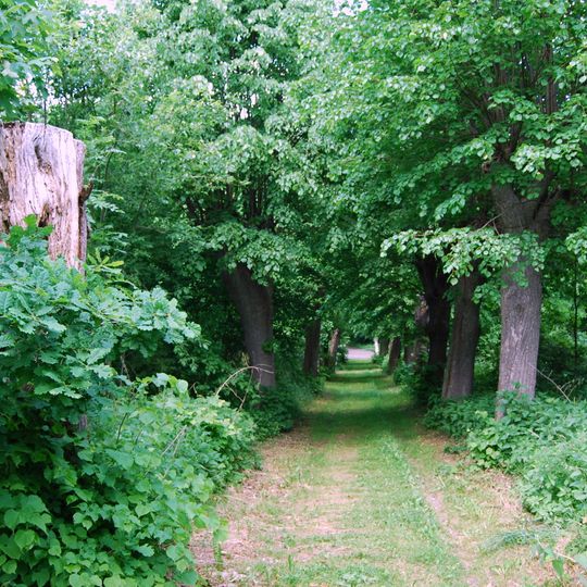 Cmentarz ewangelicki