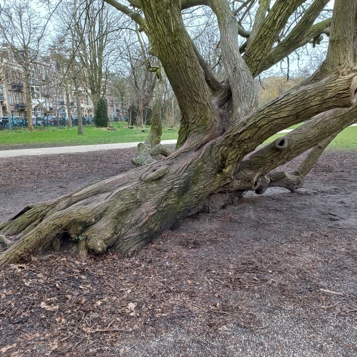 Sarphatipark