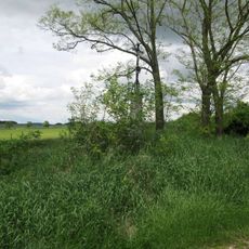 Kříž severně od Žďáru