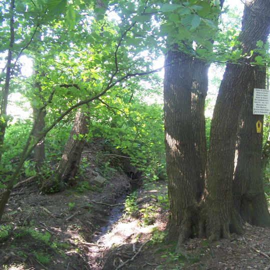 Naturdenkmal Dahmequelle 1,3 km O Ort; Flur 5, Flurstück 25-27, 42-49, 51-53 in Kolpien