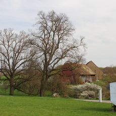Winterlinden Beim Schafhaus