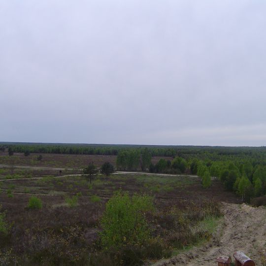 Rezerwat przyrody Diabelskie Pustacie