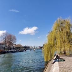 Saule Pleureur de la Pointe