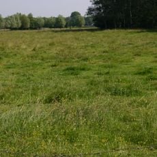 Terrein met de overblijfselen van het Sint Ursulaklooster