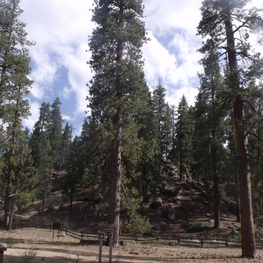 San Bernardino National Forest