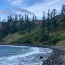 Ball Bay Reserve