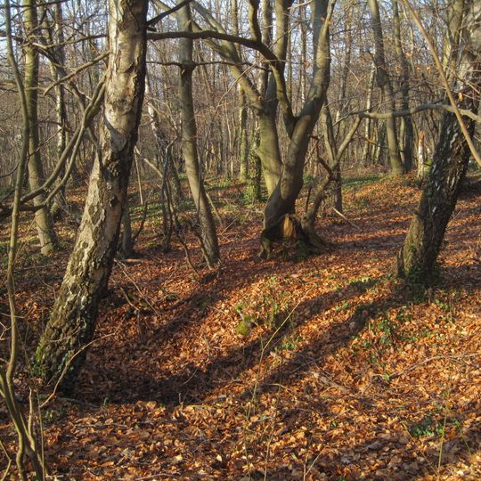 Duloh-Löbbecken-Kopf