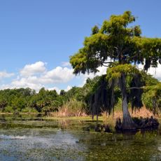 Ocala National Forest