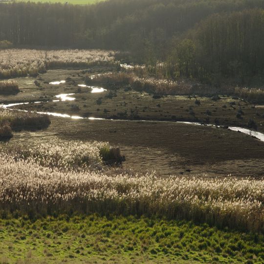 Lietzener Mühlental
