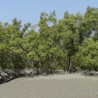 South 24 Parganas district