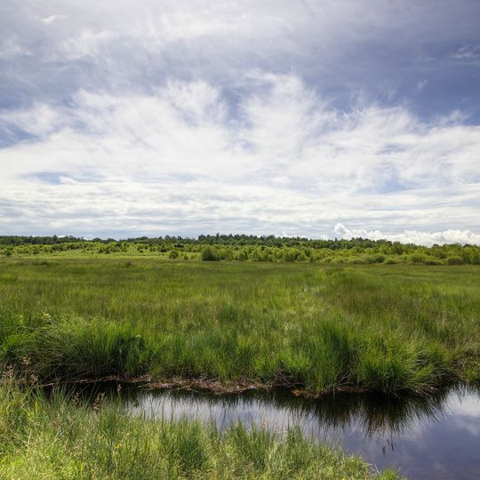 NSG Wahner Heide <GL>