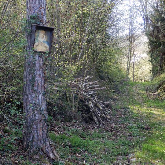 Bildbaum Heidelgrabenweg Buchberg am Kamp
