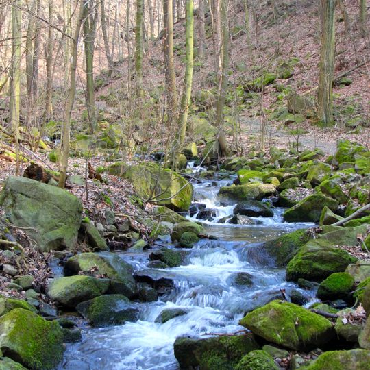 Dresdner Elbtalhänge