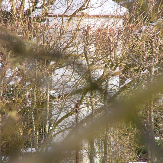 XVI. Burgfriedenssäule Landshut