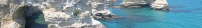 Panoramic View 2