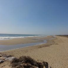 Platja de la Pineda