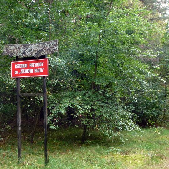 Rezerwat przyrody Żółwiowe Błota