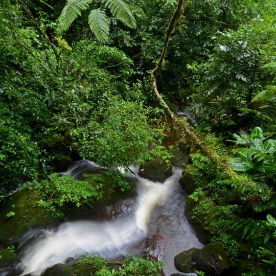 Cordillera Escalera Regional Conservation Area