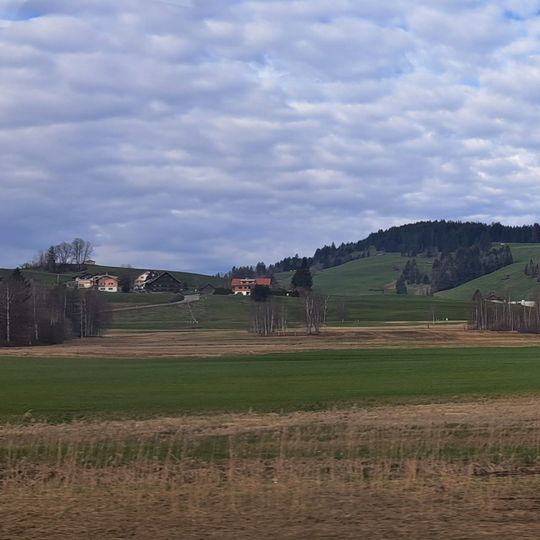 Sinswanger Moor nördlich Oberstaufen