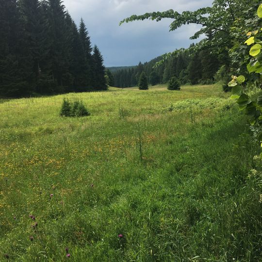 Oberes Freiberger Muldetal