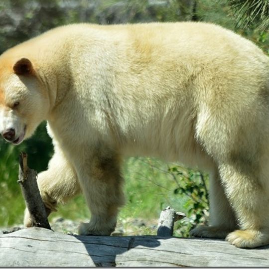 British Columbia Wildlife Park