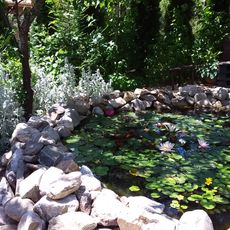 Borika Bothanical garden