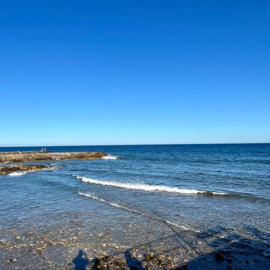 Spiaggia autorizzata per cani