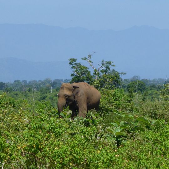 Parco nazionale di Uda Walawe