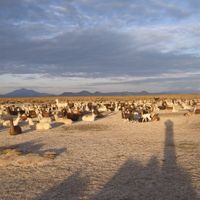 Litoral de Atacama Province