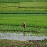 municipalità di Doun Kaev