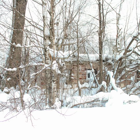 Дом И.М. Дьяконова